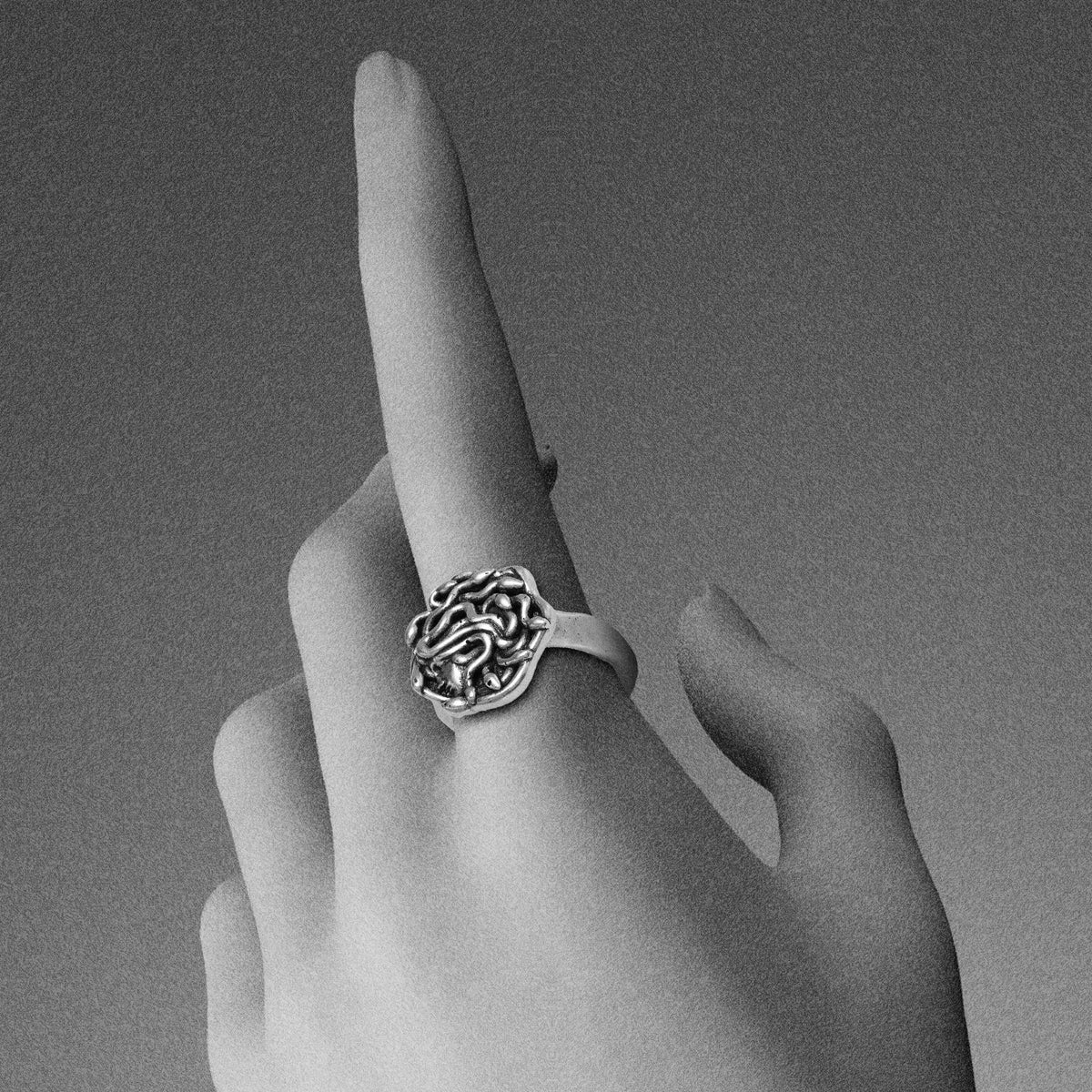 PETRIFIED GAZE RINGS