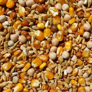 Widmer Every Seasons Resting Pigeon Corn 20kg