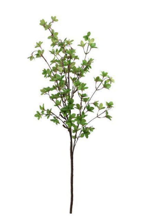 51” watercress leaf spray