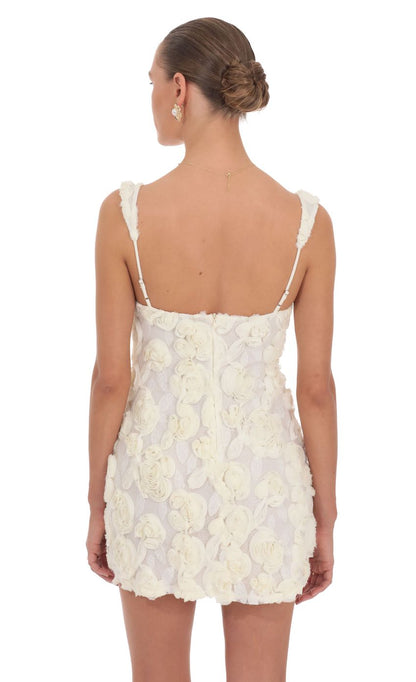 Brielle Mini Dress