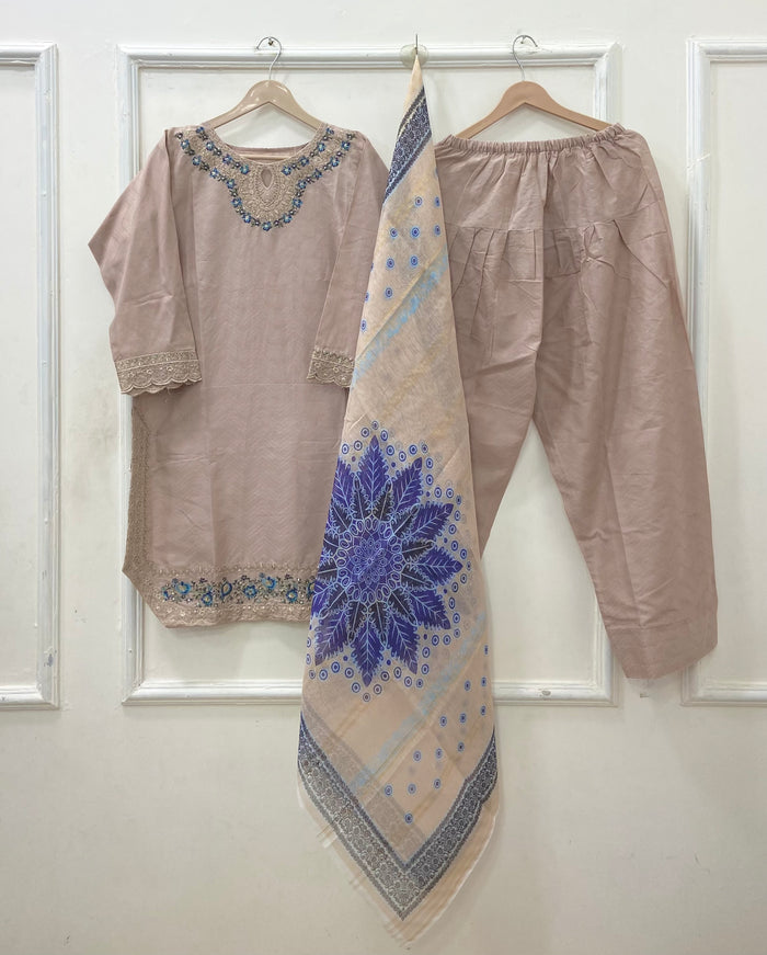 Premium Farshi | 3PC Cotton D-629
